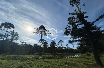 Chácara / sítio à venda na avenquinha, campo alegre  por r$ 1.680.084