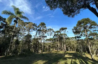 Chácara / sítio à venda na avenquinha, campo alegre  por r$ 2.000.000