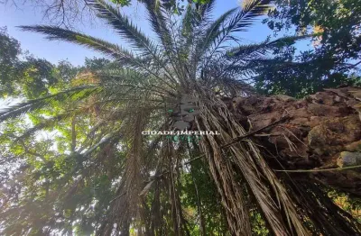 Ótimo investimento terreno com apx 1520m2 no amoedo - carangola