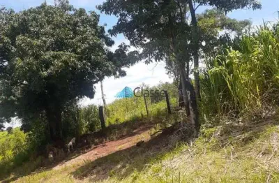 Chácara de lazer e produção de uvas em mandaguari - pr