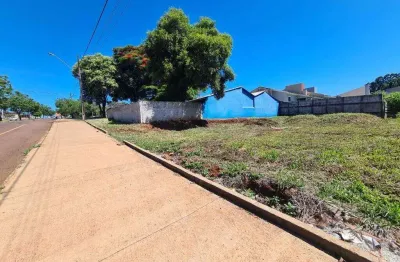 Terreno para alugar, 392 m² por r$ 2.000,00/mês - pacaembu - cascavel/pr