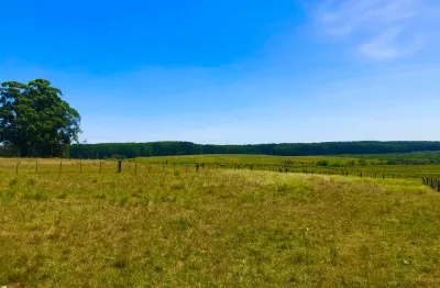 Fazenda com 2 salas à venda na Rua Dutra de Andrade, Zona Rural, Pinheiro Machado