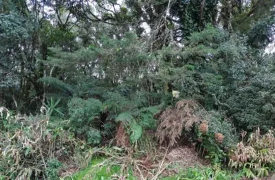 Terreno à venda na são bernardo, 15, são bernardo, são francisco de paula, 960 m2 por r$ 159.900