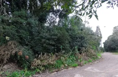 Terreno à venda na são bernardo, 12, são bernardo, são francisco de paula, 1151 m2 por r$ 200.000