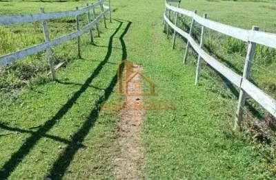 Chácara / sítio com 2 quartos à venda na Serra Negra, Lagoinha 