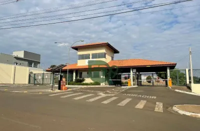 Terreno à venda, 555 m² por R$ 330.000,00 - Fazenda Santa Lúcia - Americana/SP