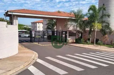 Apartamento com 2 dormitórios à venda, 49 m² por r$ 175.000,00 - jardim das laranjeiras - santa bárbara d'oeste/sp