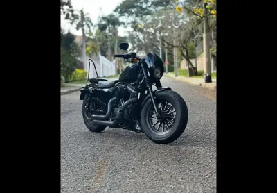 Harley-davidson xl883n 2013