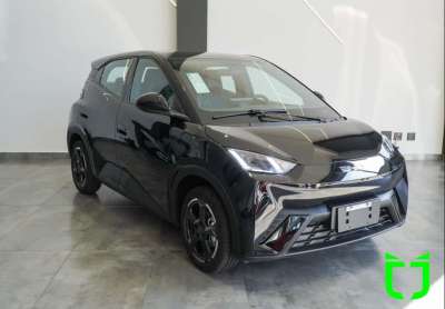 Byd dolphin mini 38 kw elétrico