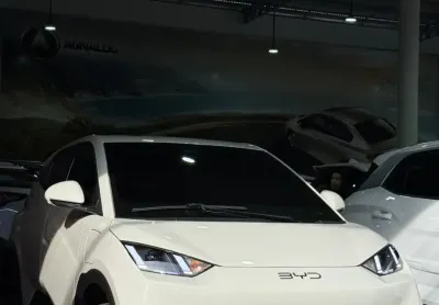 BYD Dolphin Mini 2026