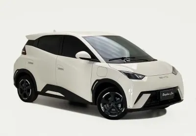 Byd dolphin mini (elétrico)
