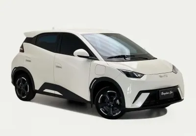 Byd dolphin mini mini (elétrico)