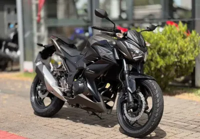 Kawasaki z 300  - cinza - 2015/2016