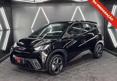 Byd dolphin mini 2025 38 km elétrico