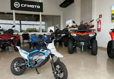 Cfmoto cforce cx2e