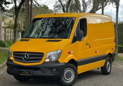 Sprinter 313