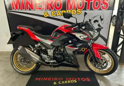 Kawasaki z 300 abs