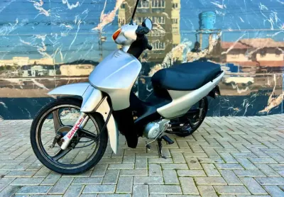 C 100 biz es