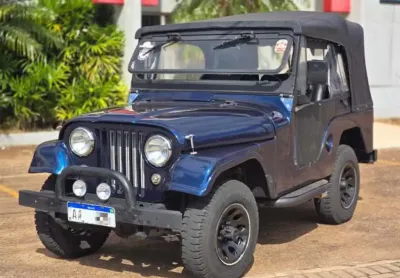Renegade Willys Manual 1967 Jeep