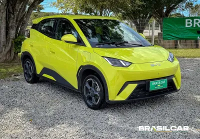 Byd dolphin mini (elétrico)