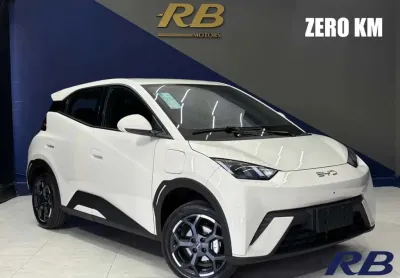 Byd dolphin mini (elétrico)