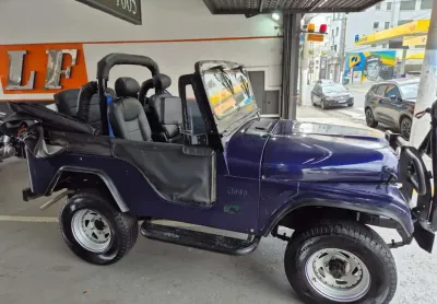 Ford jeep gasolina manual