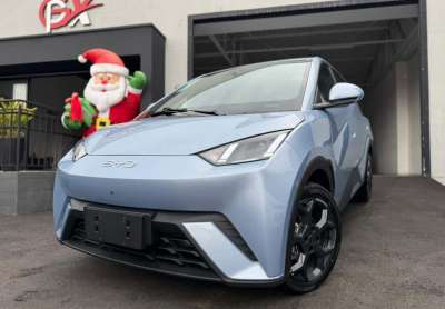 Byd dolphin mini (elétrico) 2025