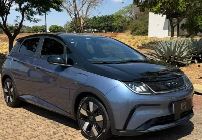 Byd dolphin