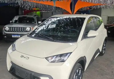 BYD Dolphin Mini 2027 Zero KM