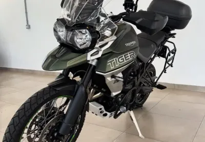 Tiger 800 xcx