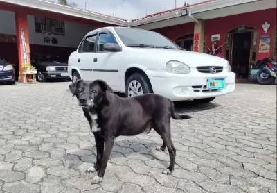 Chevrolet classic life 2008