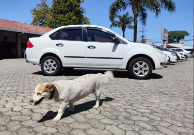 Ford fiesta sedan 2006