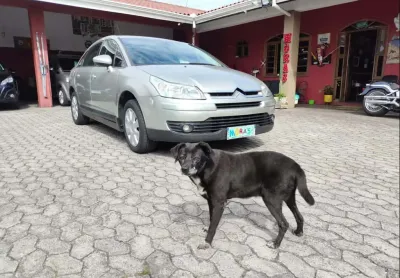 Citroen c4 pallas20gaf 2011