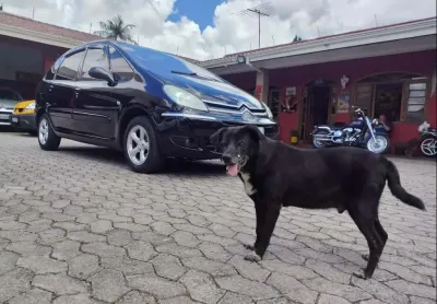 Citroen picasso ii20exca 2010