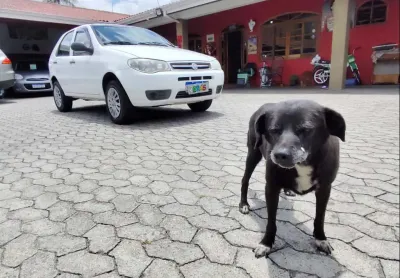 Fiat palio fire economy 2012