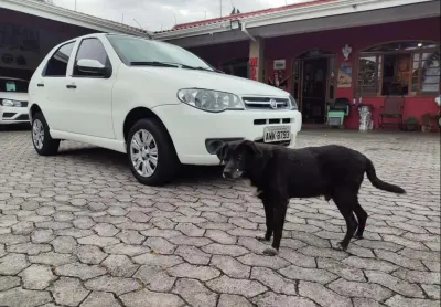 Fiat palio fire econom 2013