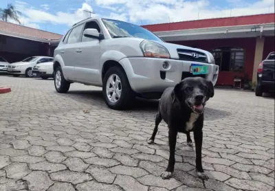 Hyundai tucson gl 20l 2010