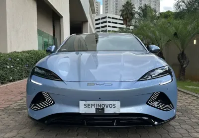 Seal 3.8S Estado de Zero