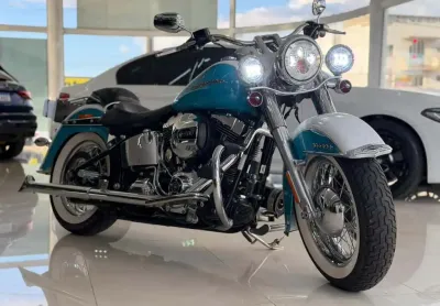 Harley-davidson softail deluxe  flstn