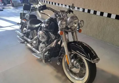 Harley davidson softail deluxe flstn