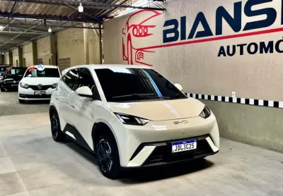 Byd dolphin mini 38 kw elétrico