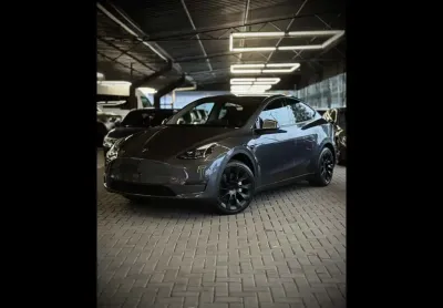 Tesla model y model y