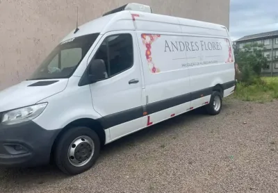 Mercedes-Benz SPRINTER 2.2 CDI DIESEL FURGÃO 516 TA EXTRA LONGO MANUAL