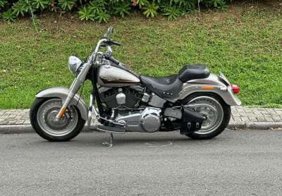 Harley-davidson fat boy flstf 2009