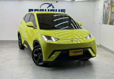 Byd dolphin mini 2025 gs ev