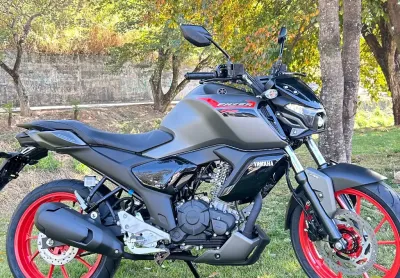 Fz15