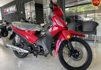 Shineray phoenix s 50 2025