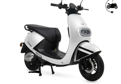 Watts ws50 1.000w 2024