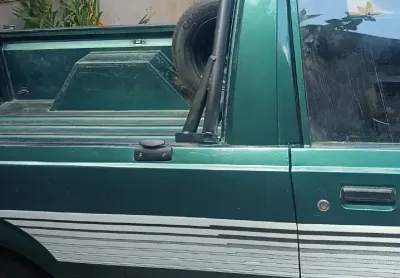 Venda de 2 pampas