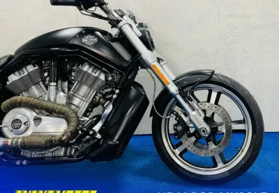 V-rod muscle